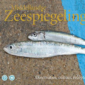 Zeespiegelingen — iPad magazine